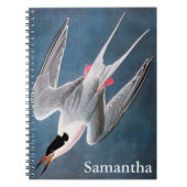 Audubon: Roseate Tern Notitieboek (Voorkant)