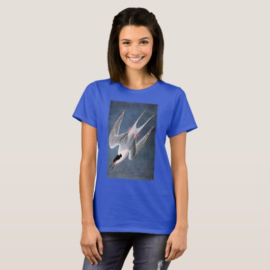 Audubon: Roseate Tern T-shirt (Voorkant volledig)