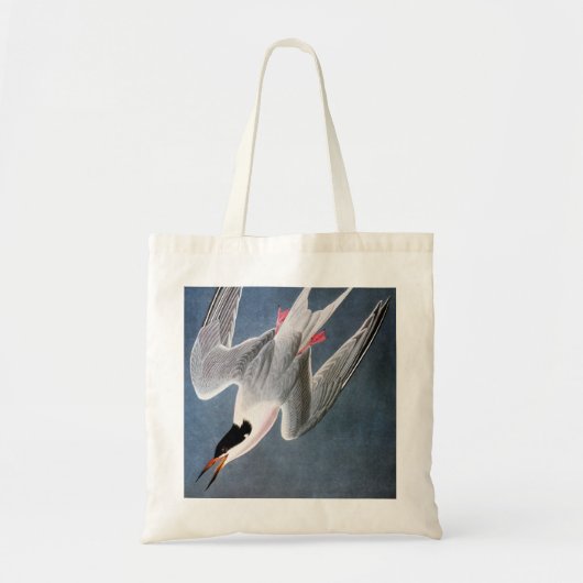 Audubon: Roseate Tern Tote Bag (Voorkant)