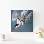 Audubon: Roseate Tern Vierkante Klok (Huis)