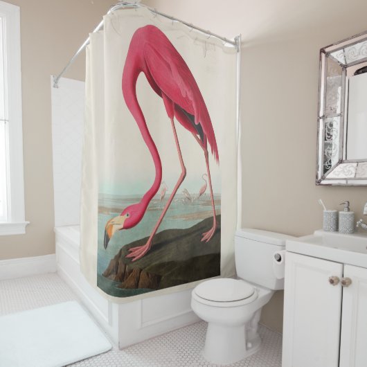 Audubon Roze Amerikaanse Flamingo, Bord CCCCXXXI Douchegordijn (In situ)