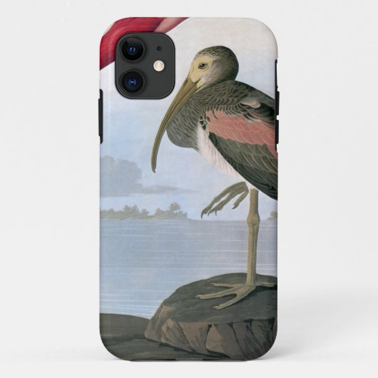 Audubon: Scarlet Ibis Case-Mate iPhone Case (Achterkant)