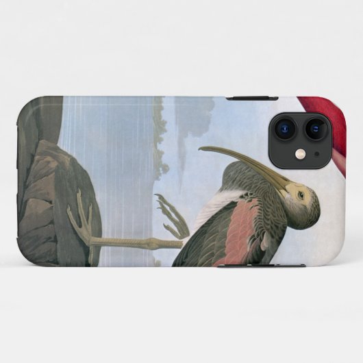Audubon: Scarlet Ibis Case-Mate iPhone Case (Achterkant (horizontaal))