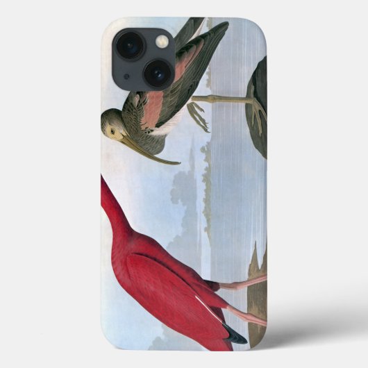 Audubon: Scarlet Ibis Case-Mate iPhone Case (Achterkant)