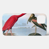 Audubon: Scarlet Ibis Case-Mate iPhone Case (Achterkant (horizontaal))