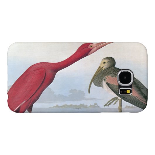 Audubon: Scarlet Ibis Case-Mate Samsung Galaxy Hoesje (Achterkant Horizontaal)