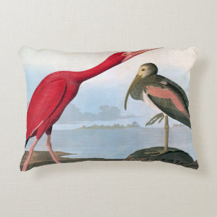 Audubon: Scarlet Ibis Decoratief Kussen