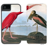 Audubon: Scarlet Ibis Incipio iPhone Portemonnee Hoesje (Agenda Open)