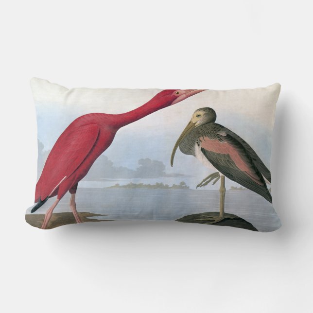 Audubon: Scarlet Ibis Kussen (Voorkant)