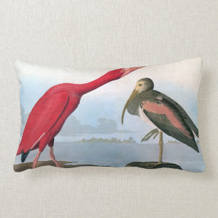 Audubon: Scarlet Ibis Kussen