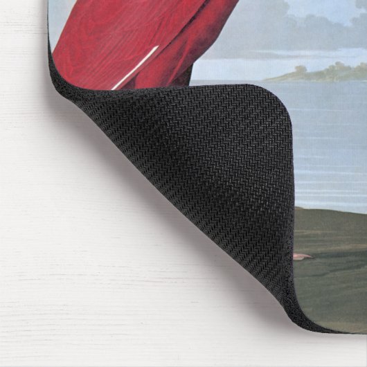 Audubon Scarlet Ibis Muismat (Hoek)