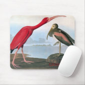 Audubon Scarlet Ibis Muismat (Met muis)