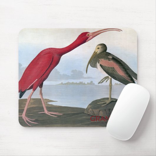 Audubon Scarlet Ibis Muismat (Met muis)