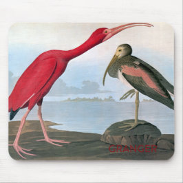 Audubon Scarlet Ibis Muismat