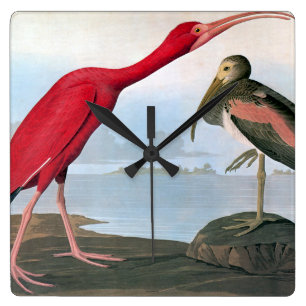 Audubon: Scarlet Ibis Vierkante Klok