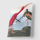 Audubon: Scarlet Ibis Vierkante Klok (Hoek)