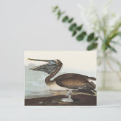 Audubon Seaside Brown Pelican Watercolor Painting Briefkaart (Staand voorkant)