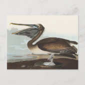 Audubon Seaside Brown Pelican Watercolor Painting Briefkaart (Voorkant)