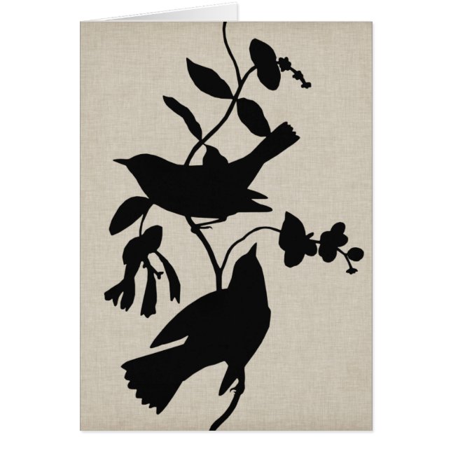 Audubon Silhouette IV (Voorkant)