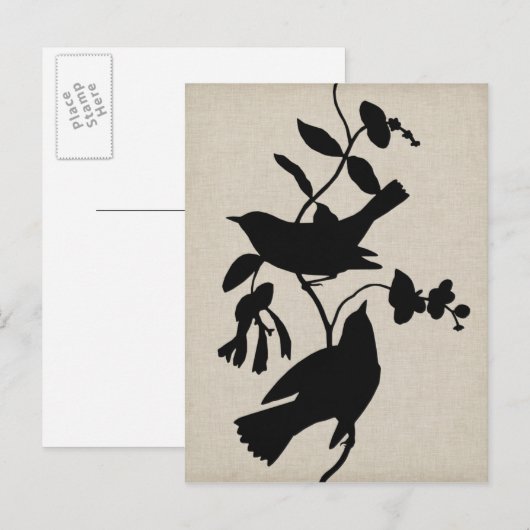 Audubon Silhouette IV Briefkaart (Voorkant / Achterkant)