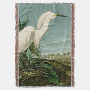 Audubon Sneeuwreiger Witte Reiger Vogel Vogels kij Deken