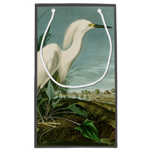 Audubon Sneeuwreiger Witte Reiger Vogel Vogels kij Klein Cadeauzakje