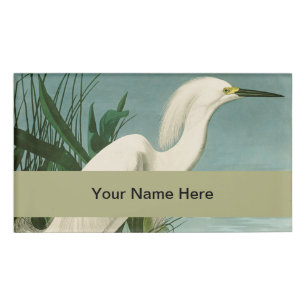 Audubon Sneeuwreiger Witte Reiger Vogel Vogels kij Naambadge