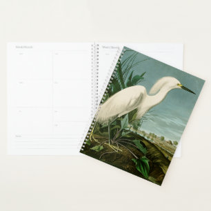 Audubon Sneeuwreiger Witte Reiger Vogel Vogels kij Planner