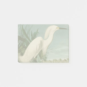 Audubon Sneeuwreiger Witte Reiger Vogel Vogels kij Post-it® Notes