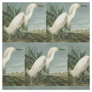 Audubon Sneeuwreiger Witte Reiger Vogel Vogels kij Stof
