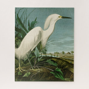 Audubon Snowy Heron White Egret Bird Legpuzzel