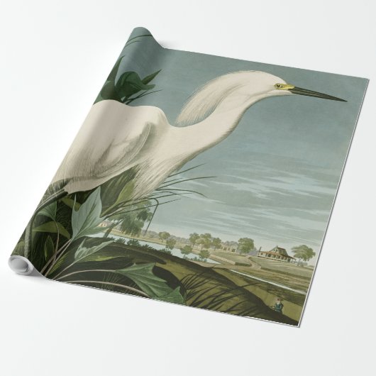 Audubon Snowy Heron White Gret Vogel Vogel Cadeaupapier (Uitgerold)