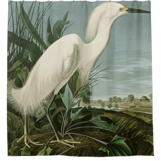 Audubon Snowy Heron White Gret Vogel Vogel Douchegordijn (Voorkant)