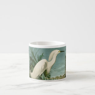 Audubon Snowy Heron White Gret Vogel Vogel Espresso Kop