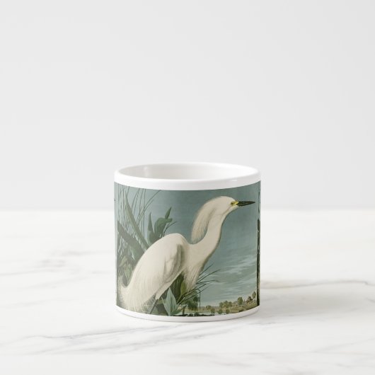 Audubon Snowy Heron White Gret Vogel Vogel Espresso Kop (Voorkant)