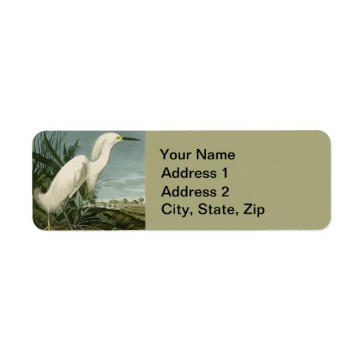 Audubon Snowy Heron White Gret Vogel Vogel Etiket (Voorkant)