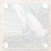 Audubon Snowy Heron White Gret Vogel Vogel Glazen Onderzetter (Achterkant)