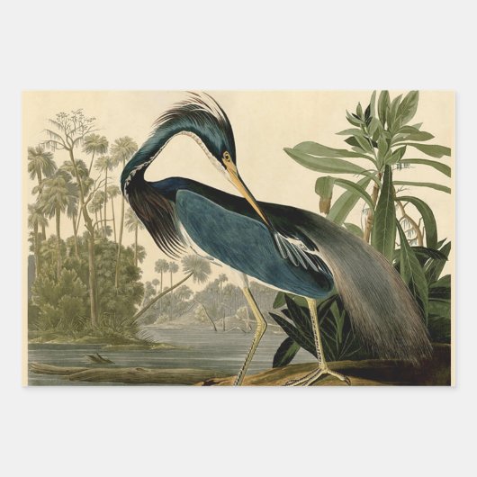 Audubon Snowy Heron White Gret Vogel Vogel Inpakpapier Vel (Voorkant 2)
