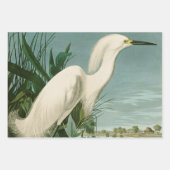 Audubon Snowy Heron White Gret Vogel Vogel Inpakpapier Vel (Voorkant)