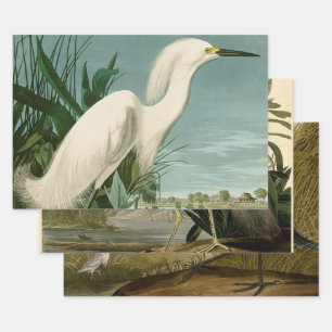 Audubon Snowy Heron White Gret Vogel Vogel Inpakpapier Vel
