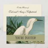Audubon Snowy Heron White Gret Vogel Vogel Kaart (Voorkant / Achterkant)