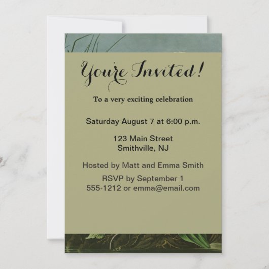 Audubon Snowy Heron White Gret Vogel Vogel Kaart (Voorkant)