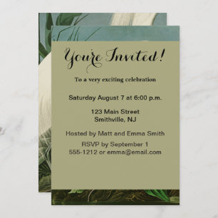 Audubon Snowy Heron White Gret Vogel Vogel Kaart