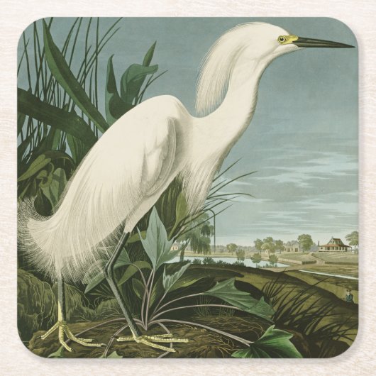 Audubon Snowy Heron White Gret Vogel Vogel Kartonnen Onderzetters (Voorkant)