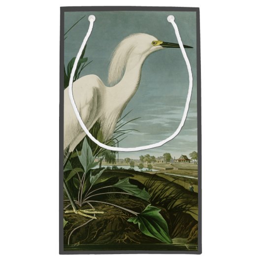 Audubon Snowy Heron White Gret Vogel Vogel Klein Cadeauzakje (Achterkant)