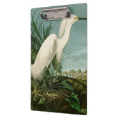 Audubon Snowy Heron White Gret Vogel Vogel Klembord (Links)
