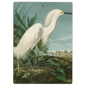 Audubon Snowy Heron White Gret Vogel Vogel Klembord (Achterkant)