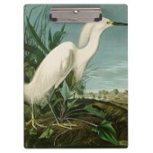 Audubon Snowy Heron White Gret Vogel Vogel Klembord (Voorkant)