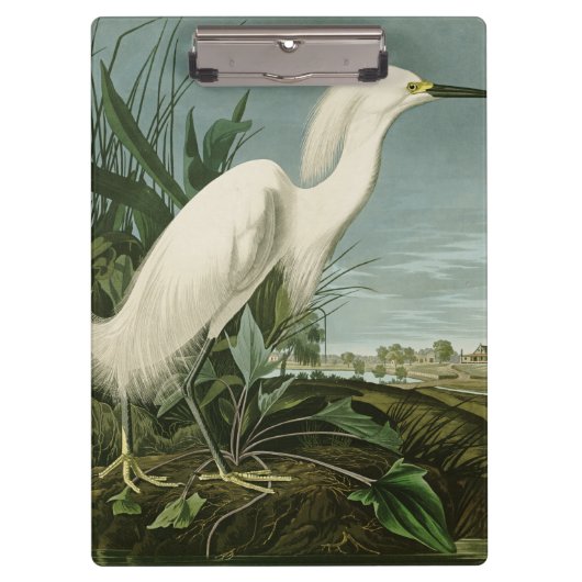 Audubon Snowy Heron White Gret Vogel Vogel Klembord (Voorkant)