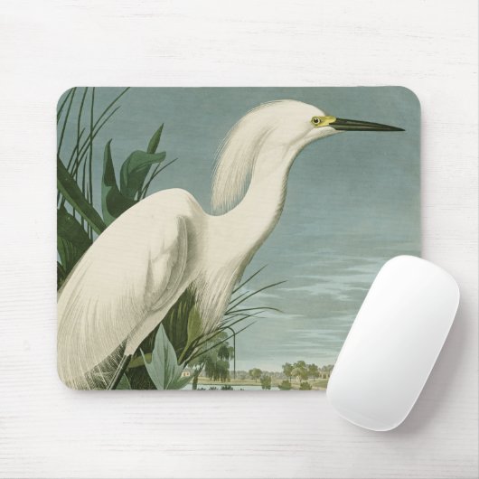 Audubon Snowy Heron White Gret Vogel Vogel Muismat (Met muis)